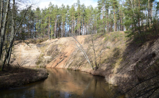 5_Mančiagirės skardis Š. Narkaus nuotr..jpg